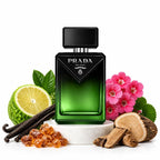 Prada Paradigme Le Parfum sample decant with bergamot, vanilla, geranium, benzoin and guaiac wood